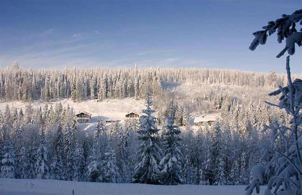 Karkutahko Villas Ruokonen Exterior photo